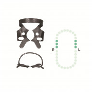 Crampon Molaire du Haut