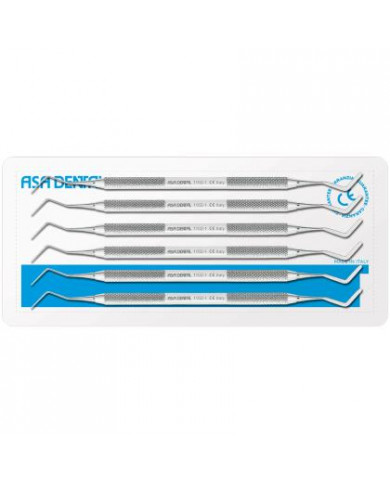 Spatule de Bouche Heidemann - Lot de 5