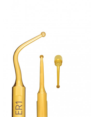 Insert à Ultrasons Endo Révision