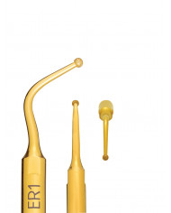 Insert à Ultrasons Endo Révision