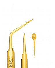 Insert à Ultrasons Endo Révision