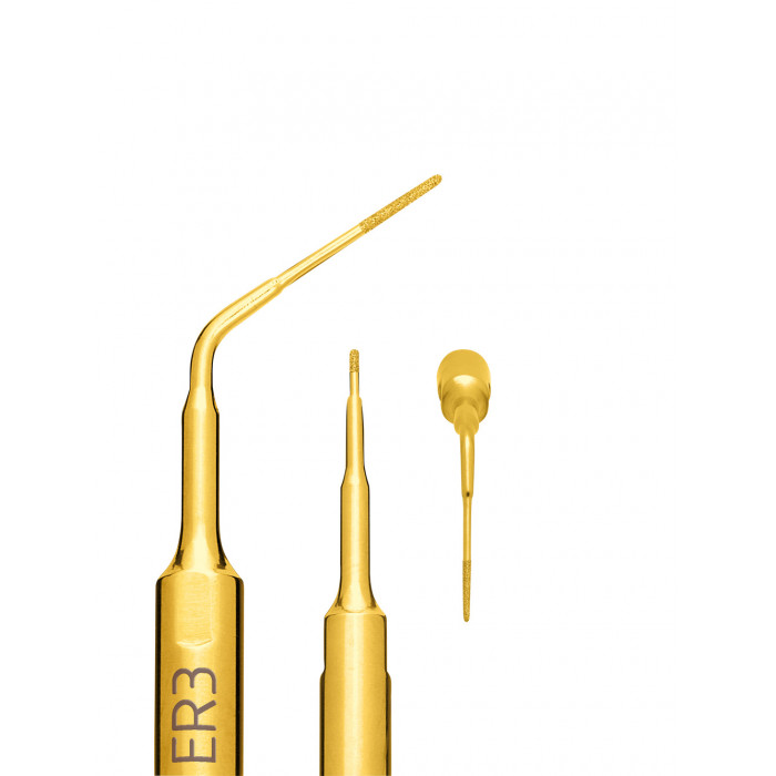 Insert à Ultrasons Endo Révision