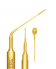 Insert à Ultrasons Endo Révision