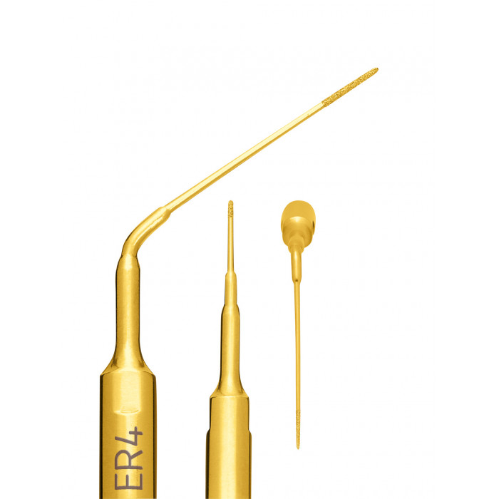 Insert à Ultrasons Endo Révision