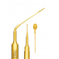 Insert à Ultrasons Endo Révision