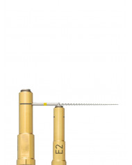 Insert à Ultrasons Endo