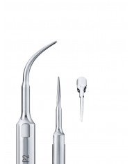 Insert à Ultrasons Perio