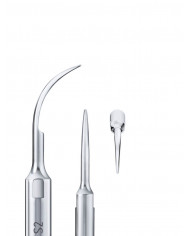 Insert à Ultrasons Scaling