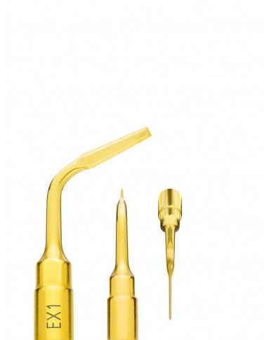 Insert PiezoSurgery Extraction