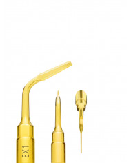 Insert PiezoSurgery Extraction