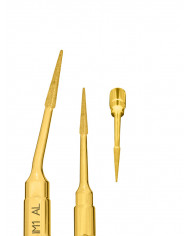 Insert PiezoSurgery Préparation Implantaire