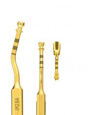 Insert PiezoSurgery Préparation Implantaire