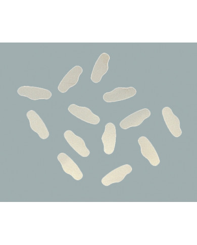 Sachet de 12 Matrices Ivory