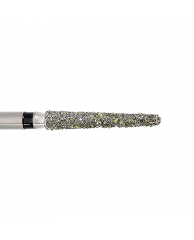 Fraise Congé - 5850