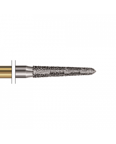 Fraise Diamantée S Congé Ogivale - S678K