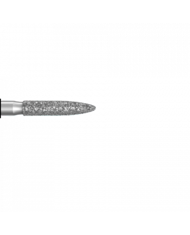 Fraise Flamme Diamantée - ZR6862