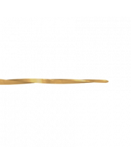 Lime PathGlider - AK03