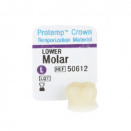 Protemp Crown