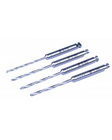 Forets Pilote - Assortiment