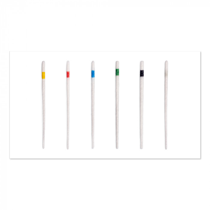 HyFlex CM Paper Points