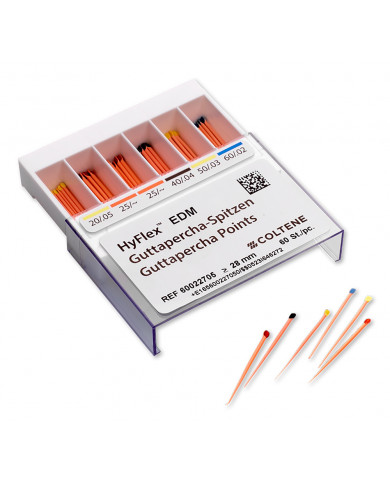 HyFlex EDM Guttapercha Points Assortis