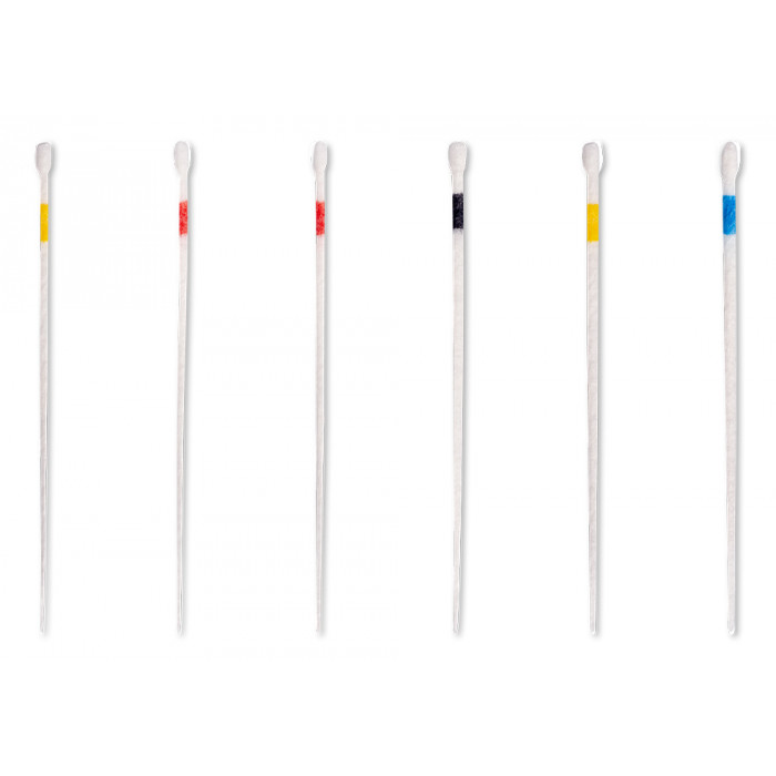 HyFlex Paper Points EDM Assortis