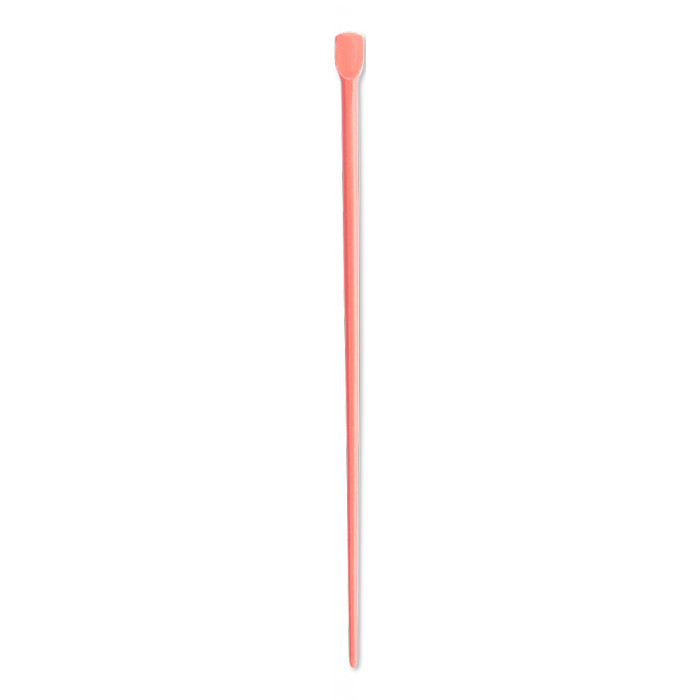Pointes de Gutta Percha Pink Conventional