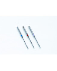 Forets Coniques - Assortiment