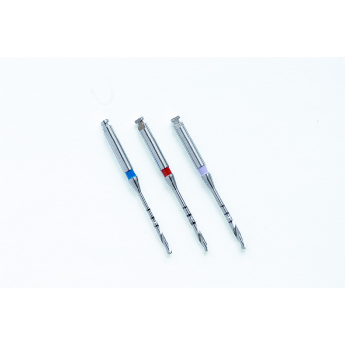 Forets Coniques - Assortiment