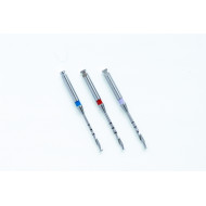 Forets Coniques - Assortiment