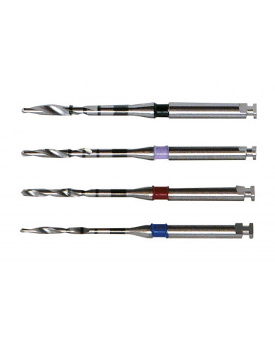 Forets Cylindriques - Assortiment