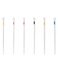 Pointes de Papier Top Color