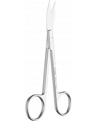 Ciseaux à Gencives Goldman Fox Courbé Lame Dentelé