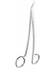 Ciseaux à Gencives Dean Courbé