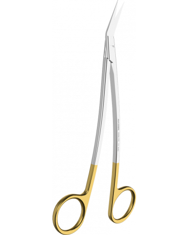 Ciseaux à Gencives Goldman Fox Courbé N°1TC