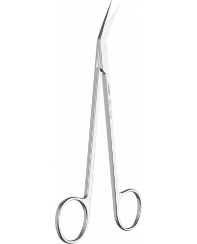 Ciseaux à Gencives Locklin N°2 Angulaire