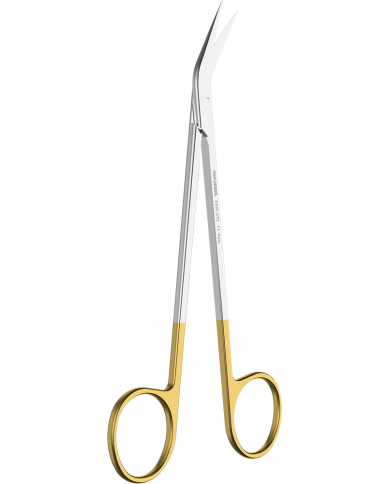 Ciseaux à Gencives Locklin Angulaire N°2TC