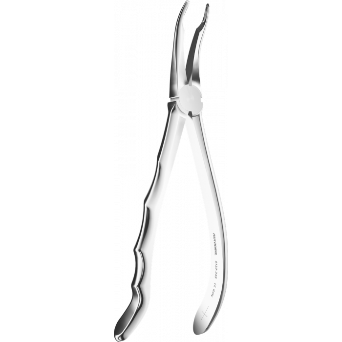 Davier - Manche Anatomique