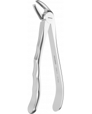 Davier - Manche Anatomique