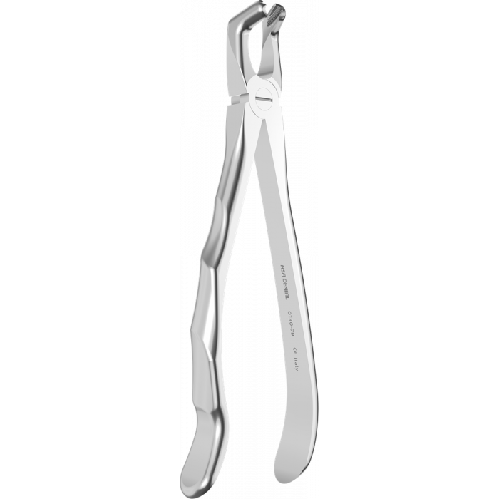 Davier - Manche Anatomique