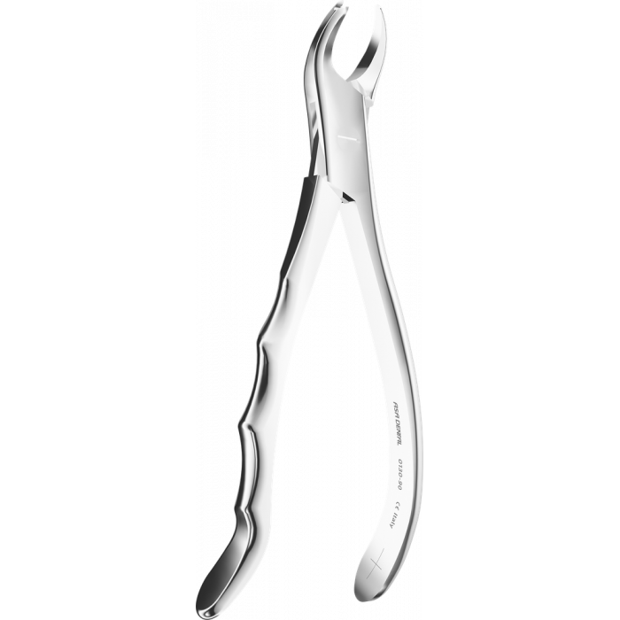 Davier - Manche Anatomique