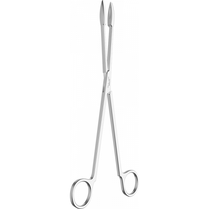 Pince à Pansements Gross Maier