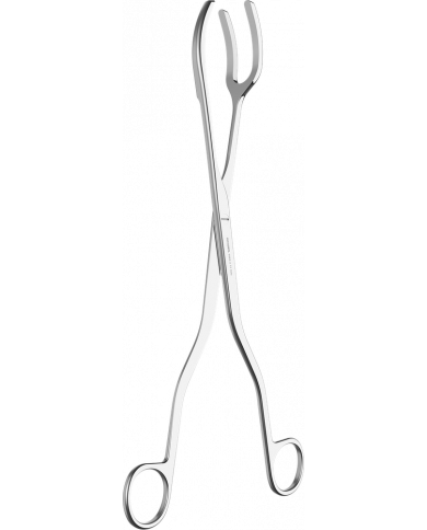Pince pour Stérilisation