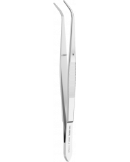 Prince pour Coton Perry