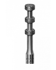 Fraise pour Facettes