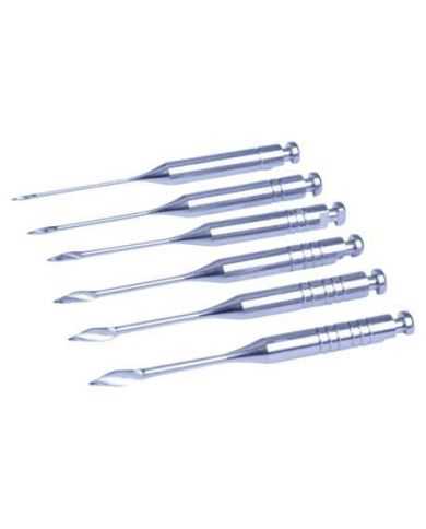 Forets Gates - PINSON