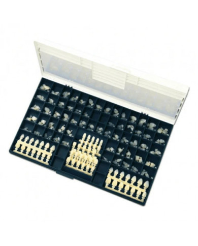 COURONNES PROVISOIRES EN POLYCARBONATE - DIRECTA DENTAL - COFFRET - KIT DE 180