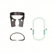 Crampon Molaire du Bas