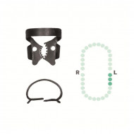 Crampon Molaire du Bas