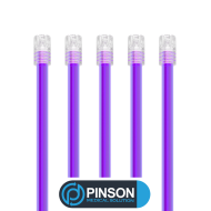 Pompes à Salive - PINSON